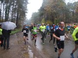 Kasterlee 2014 - 015.jpg